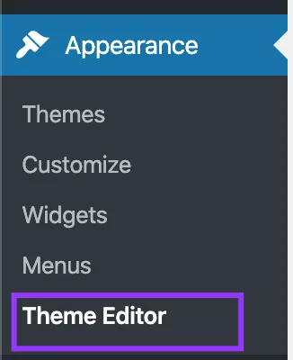 Wordpress theme editor for installing GTM