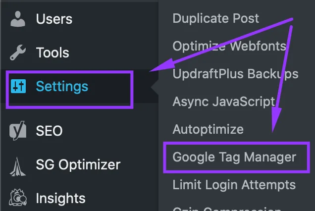 Customizing the Google Tag Manager WordPress plugin
