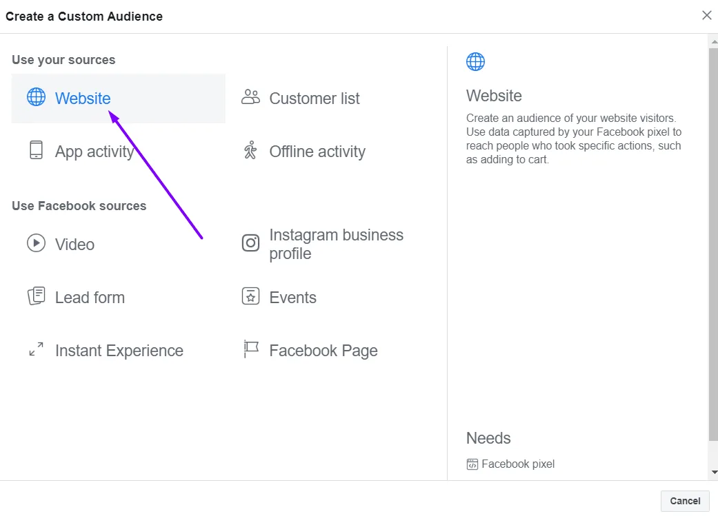 website audience screenshot